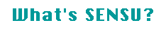 What's Sensu?