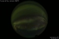 2005/9/30 21:50’48”