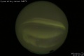 2005/10/1 21:06’28”