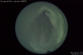 2007/4/23 02:50’10”