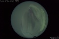 2007/4/23 02:50’40”