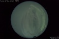 2007/4/23 02:52’10”