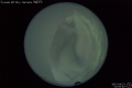 2007/4/23 02:56’40”