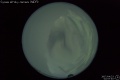 2007/4/23 02:57’40”