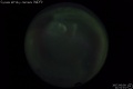 2007/6/9 21:51’01”