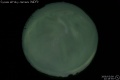 2008/3/9 22:19’55”