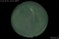 2008/3/9 22:20’25”