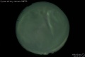 2008/3/9 22:20’55”