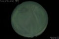2008/3/9 22:21’25”