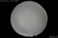 2008/3/24 19:50’00”