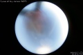2008/3/27 16:45’10”