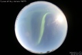 2008/5/21 04:50’33”