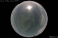 2008/5/25 03:55’33”