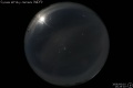 2008/6/10 15:29’02”