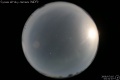2008/7/16 03:31’07”