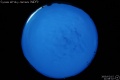 2009/2/15 21:08’32”