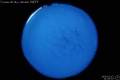 2009/2/15 21:09’02”