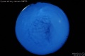 2009/2/15 22:41’02”