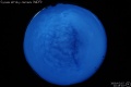 2009/2/15 22:45’02”