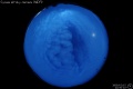 2009/2/15 22:50’02”