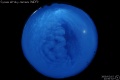 2009/2/15 22:50’32”