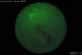 2009/3/29 00:09’42”