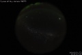 2009/5/29 22:30’12”