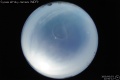 2009/6/3 22:50’12”