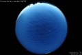 2010/2/21 00:00’32”