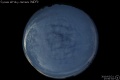 2010/2/21 17:50’34”