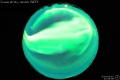 2010/3/10 21:59’08”