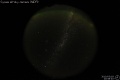 2010/3/18 20:58’40”