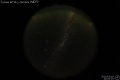 2010/3/18 21:00’10”