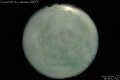 2010/4/4 18:38’42”