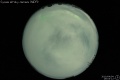 2010/4/4 19:03’12”