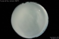 2010/4/4 21:08’42”