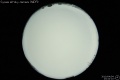 2010/4/4 23:42’10”