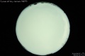2010/4/5 00:00’10”
