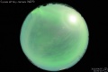 2010/4/5 22:00’10”