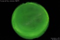 2010/4/11 21:59’40”