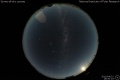 2010/4/22 16:50’10”