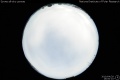 2010/4/29 16:00’10”
