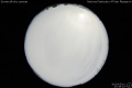 2010/5/1 17:39’10”