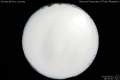 2010/5/1 18:50’40”