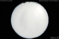 2010/5/1 18:57’10”