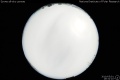 2010/5/1 19:31’10”