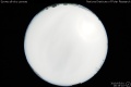 2010/5/1 19:35’10”