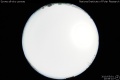 2010/5/1 20:59’10”