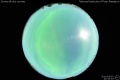 2010/5/2 21:50’10”