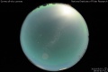 2010/5/3 19:00’40”